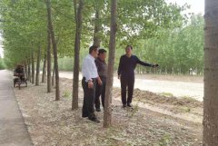 聊城市水利工程總公司 引黃灌區(qū)農(nóng)業(yè)節(jié)水工程（2021年市本級） 施工二標項目彰